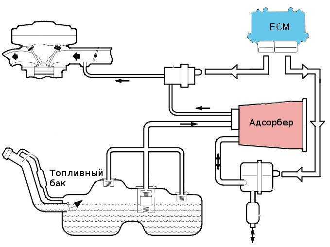 Ошибка p0446 система улавливания паров топлива, управление продувкой - неисправность электрической цепи